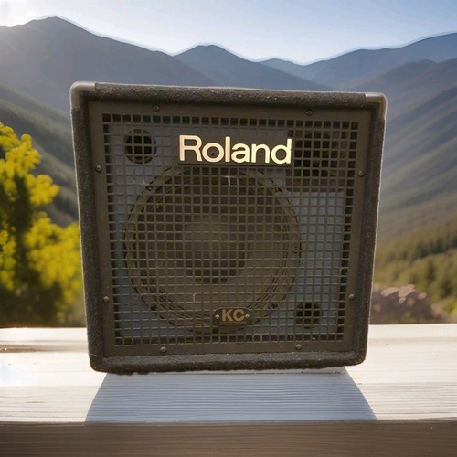Roland keyboard vocal - keyboard,, vocal,