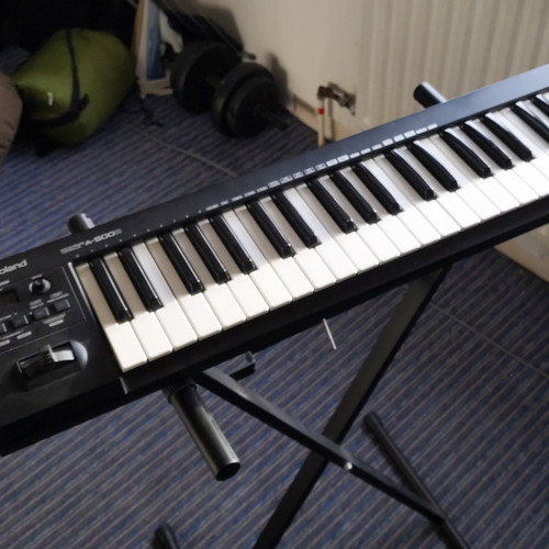 Roland 500s key - a-500s, 49-key