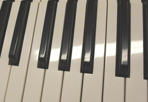 Roland synth - v,