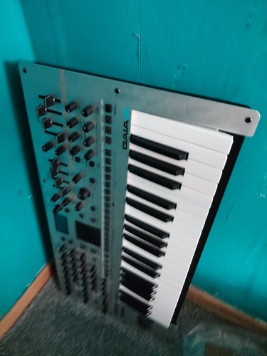 Roland gaia digital - 2,